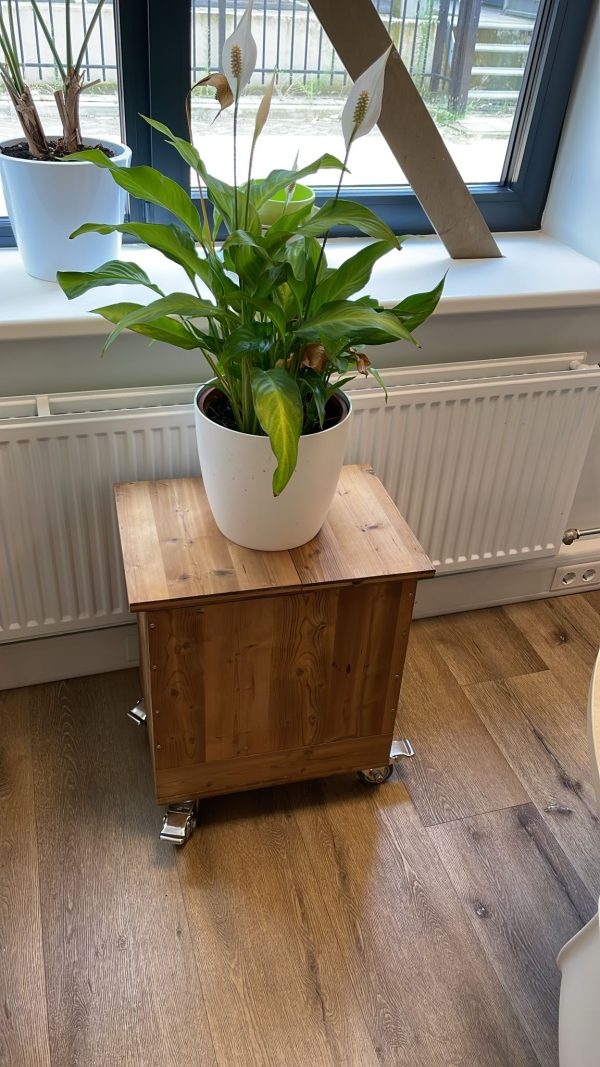 Wormenpaleis-compact-ophalen Amsterdam – Bild 3