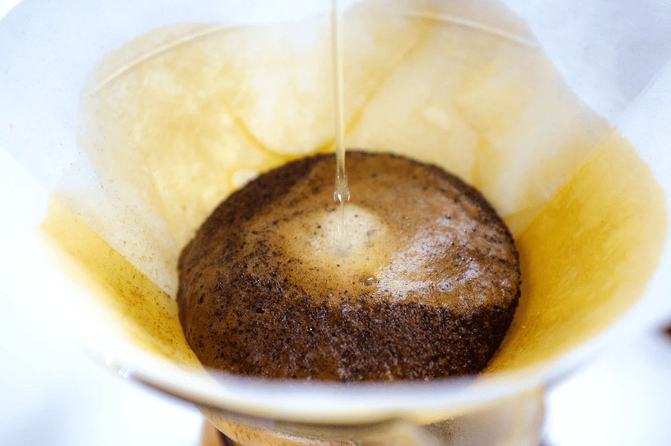 Kaffeesatz in Ihrem Garten